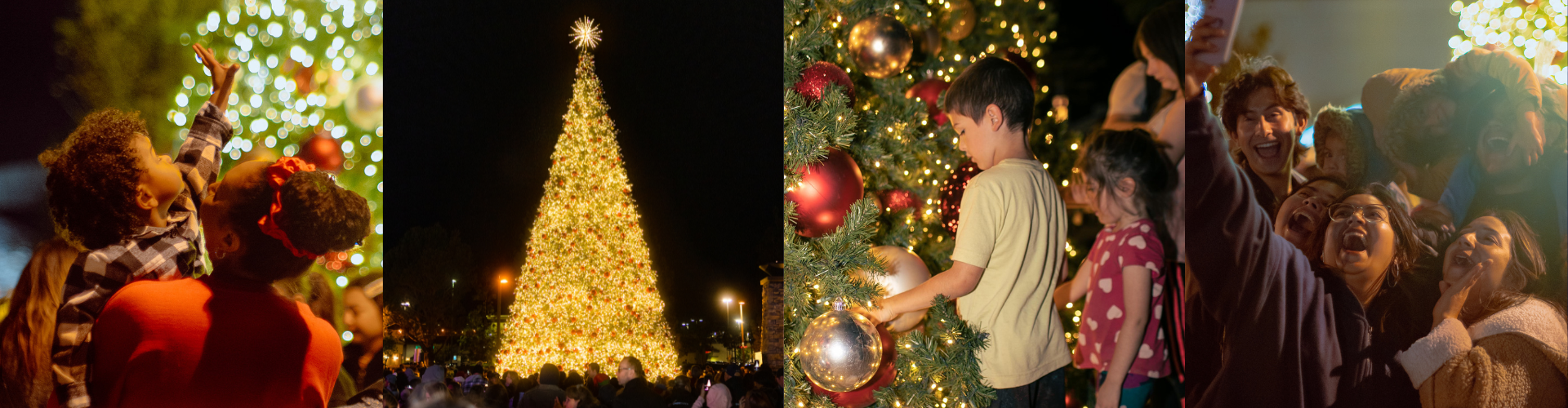 Christmas_Tree_Lighting.png